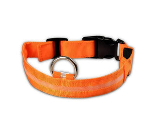 LED Collar___Keep Your Dog Safe