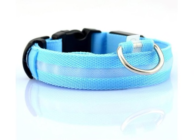 LED Collar___Keep Your Dog Safe