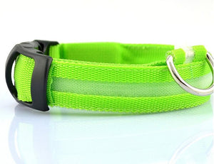 LED Collar___Keep Your Dog Safe