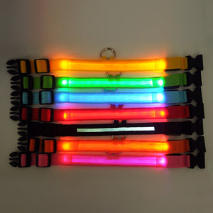 LED Collar___Keep Your Dog Safe