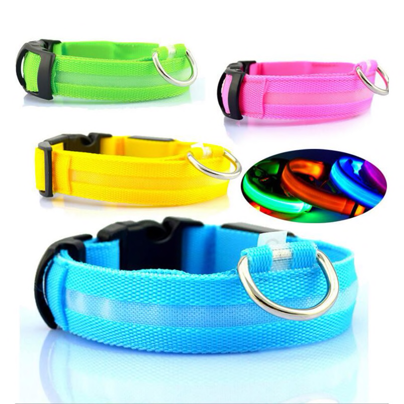 LED Collar___Keep Your Dog Safe