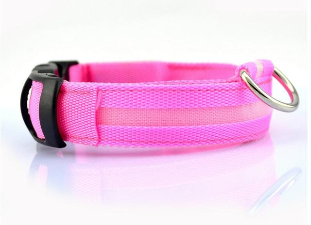 LED Collar___Keep Your Dog Safe