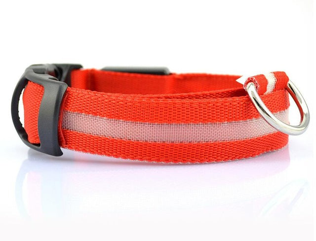 LED Collar___Keep Your Dog Safe