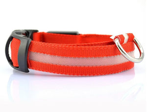 LED Collar___Keep Your Dog Safe