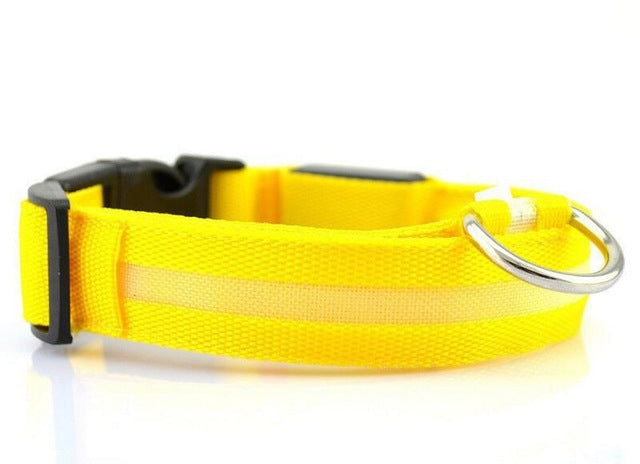 LED Collar___Keep Your Dog Safe